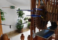 DSCN8094